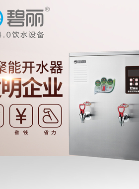 碧丽电商用全自动水饭店工厂用烧水器