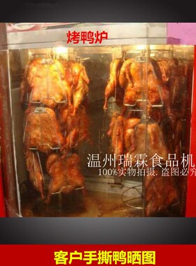 只燃气烤鸭炉点火器型气碳两用烤鸭炉点火总成关