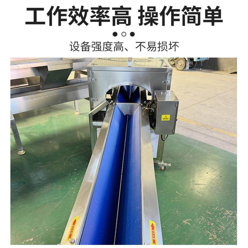 工厂直供果蔬分半机商用球茎类劈半机大头菜柠檬胡萝卜分两瓣机器,淘宝优惠券,粉丝福利购,淘宝优惠卷