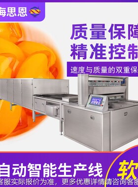 思195型恩软糖自备动生产线 糖果浇注成设 剥皮软生糖产线