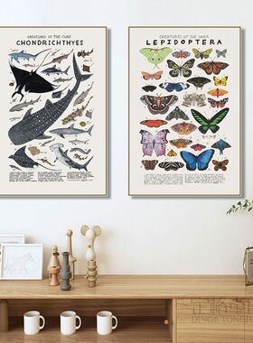 儿童房装饰画科普早教图动物世界学校幼儿园挂画昆虫种类卧室壁画