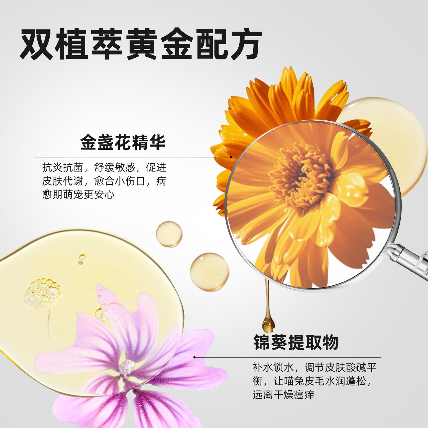 Derbe猫咪免洗泡沫干洗慕斯宠物沐浴露除臭兔用品清洁洗澡沐浴液,淘宝优惠券,粉丝福利购,淘宝优惠卷