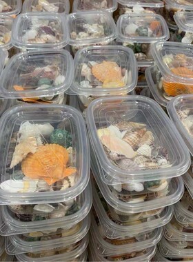 天然贝壳海螺海星鱼缸造景装饰摆