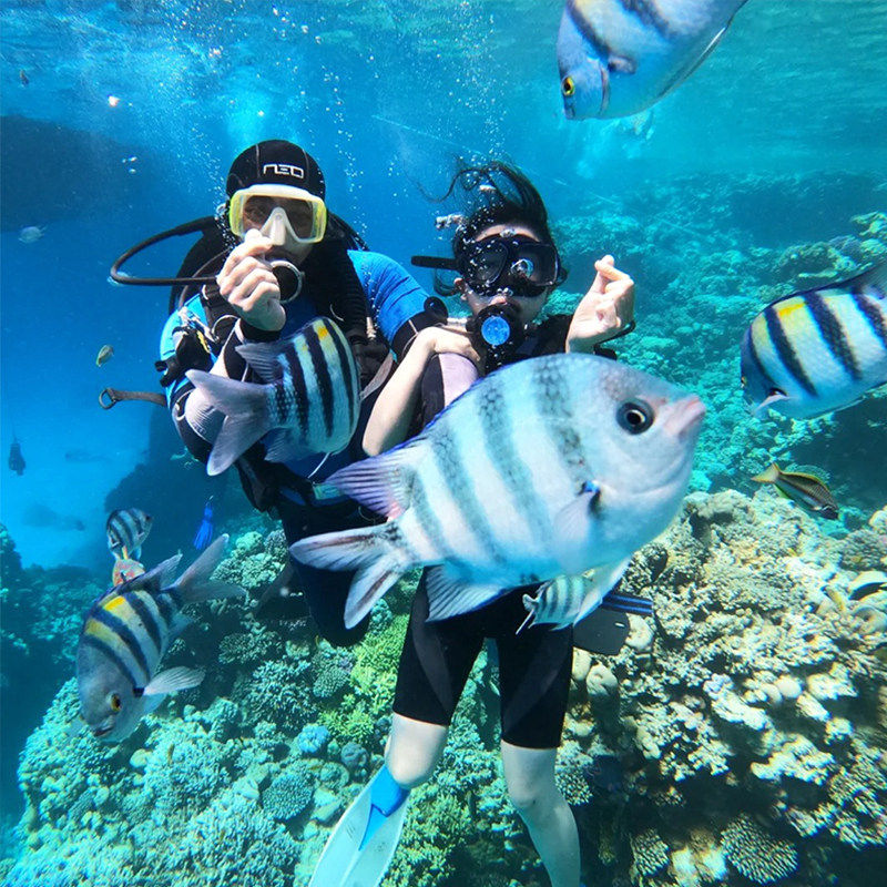 越南旅游富国岛5天4晚含酒店无购物经典多日游玩往返接送中文导游,淘宝优惠券,粉丝福利购,淘宝优惠卷