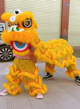 塑料舞狮子羊毛儿童舞狮子头小醒狮幼儿园表演道具醒狮子