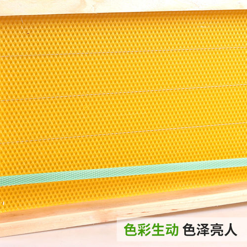 中蜂巢础巢框蜂巢础蜜蜂巢脾意蜂箱八千成品全带框养蜂工具 - 图1