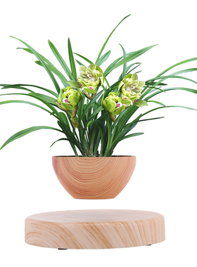 反重力自转田园风磁悬浮盆办公室家具装饰创意