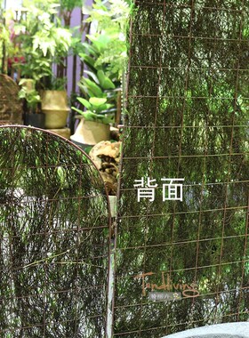 仿真青苔藓屏风室内橱庭院墙壁遮挡绿饰造景摆设