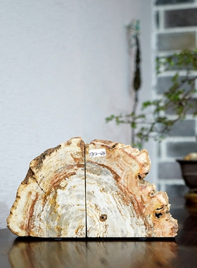 木化石书立书柜装饰品新书房创意办公室书书靠送礼长辈