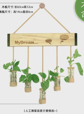 麻绳吊壁挂工艺木板装饰品水培绿植玻璃花瓶家居民宿用品装饰挂件