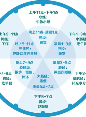 创意院挂钟经脉作息时间表时钟养生子午流注生理时段女子中心