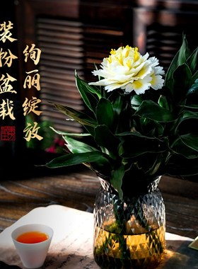 陶瓷牡丹朵手工捏新客厅酒柜办公室瓶装饰品