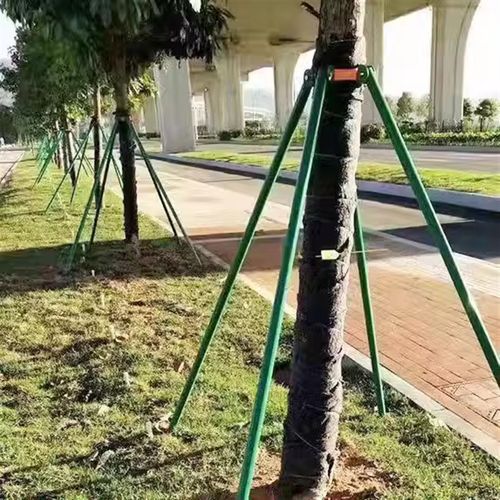 树木支撑架钢管固定器行道大树支撑杆乔木防风园林烤漆镀锌树撑 - 图3