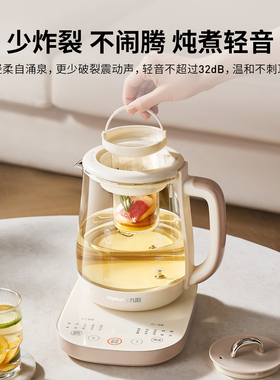 九阳多功能养生壶大容量煮茶壶