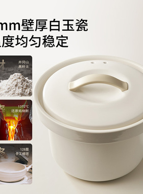 九阳电炖锅婴儿辅食专用炖盅陶瓷家用全自动煮粥煲汤新款GD316