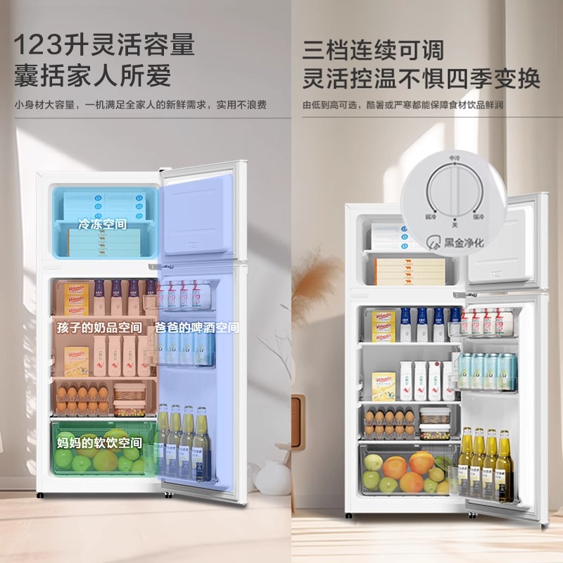 海尔123升上下两门出租房宿舍冷藏冷冻节能家用小型冰箱官方正品 - 图0