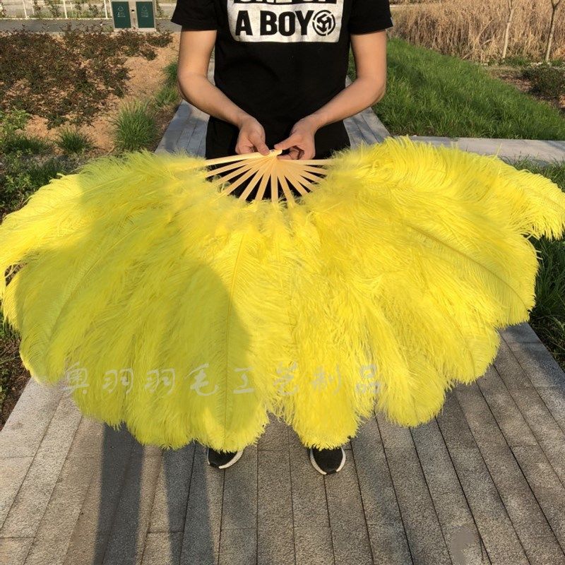 大号鸵鸟羽毛扇子舞蹈扇工艺扇舞蹈酒吧表演 舞台道具ol,淘宝优惠券,粉丝福利购,淘宝优惠卷