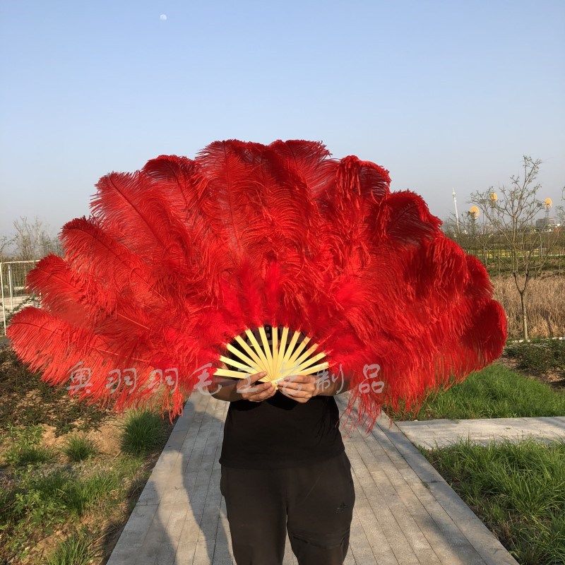 大号鸵鸟羽毛扇子舞蹈扇工艺扇舞蹈酒吧表演 舞台道具ol,淘宝优惠券,粉丝福利购,淘宝优惠卷