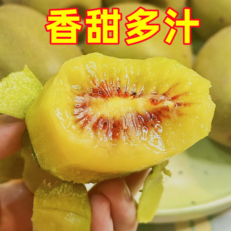 图 5