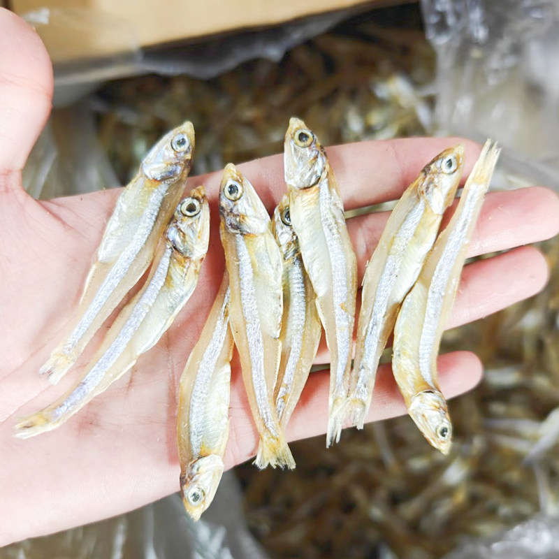 广西北海淡晒海燕鱼干500g淡干小鱼干海鲜干货银鱼干小咸鱼干鱼仔,淘宝优惠券,粉丝福利购,淘宝优惠卷