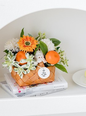 篮小客厅办公室电视柜玄关装饰乔迁之喜家居饰品仿真