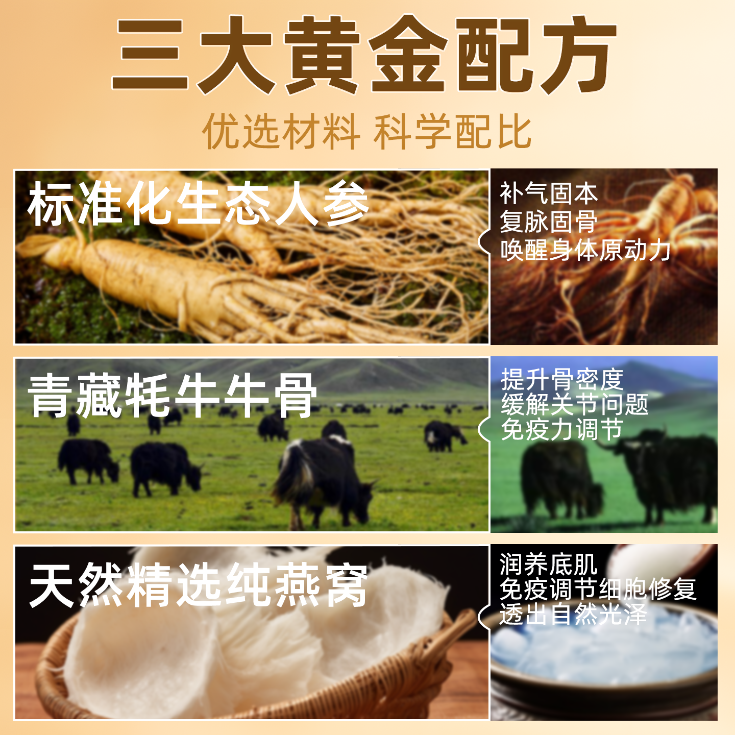 小葵花天才牦牛壮骨粉人参燕窝骨髓中老年补钙骨折骨质疏松奶粉,淘宝优惠券,粉丝福利购,淘宝优惠卷