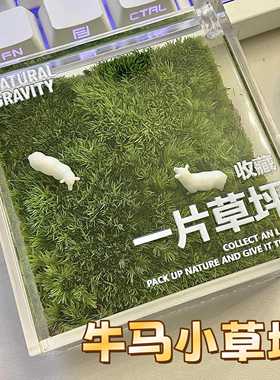 我的牛马小草坪摆件适合打工人养的迷你解压微景观办公室工位装饰