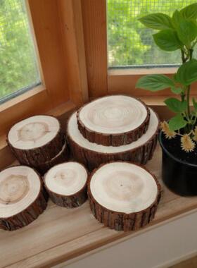 圆形木头盲盒底座桌面小摆件杉树拍照道具实木装饰木桩树桩树根