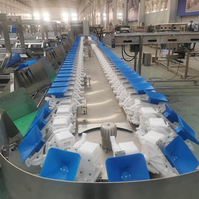 海鲜鱼类重量分选机全自动鱿鱼称重分级机食品级水产高精度,淘宝优惠券,粉丝福利购,淘宝优惠卷