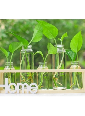 宿舍咖啡厅桌面摆件茶几上的摆件客厅吧台卫生间装饰品摆件 创意