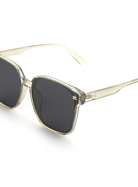 小红书同款墨镜男复古潮流抖音跨境太阳眼镜女高级感司机镜TR5027