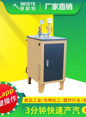 蒸汽发生器厂家直销服装整烫食品厂化工厂用防爆电加热蒸汽发生器