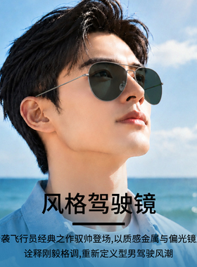 高端尼龙偏光太阳镜蛤蟆镜