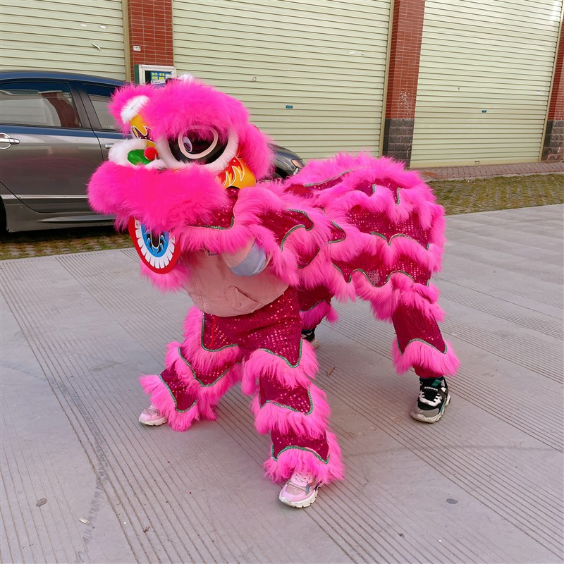 小狮子头舞狮头装塑料儿童舞狮子醒狮南狮幼儿表演道具人舞狮 - 图0