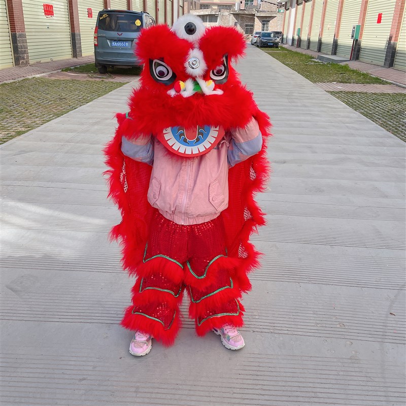 小狮子头舞狮头装塑料儿童舞狮子醒狮南狮幼儿表演道具人舞狮 - 图2