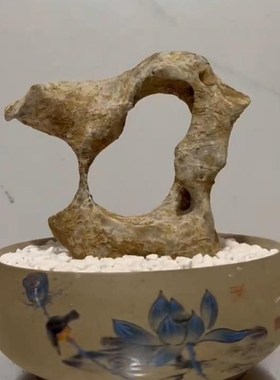 太湖石小天然微景观石盆景菖蒲盆造景附石假山英石