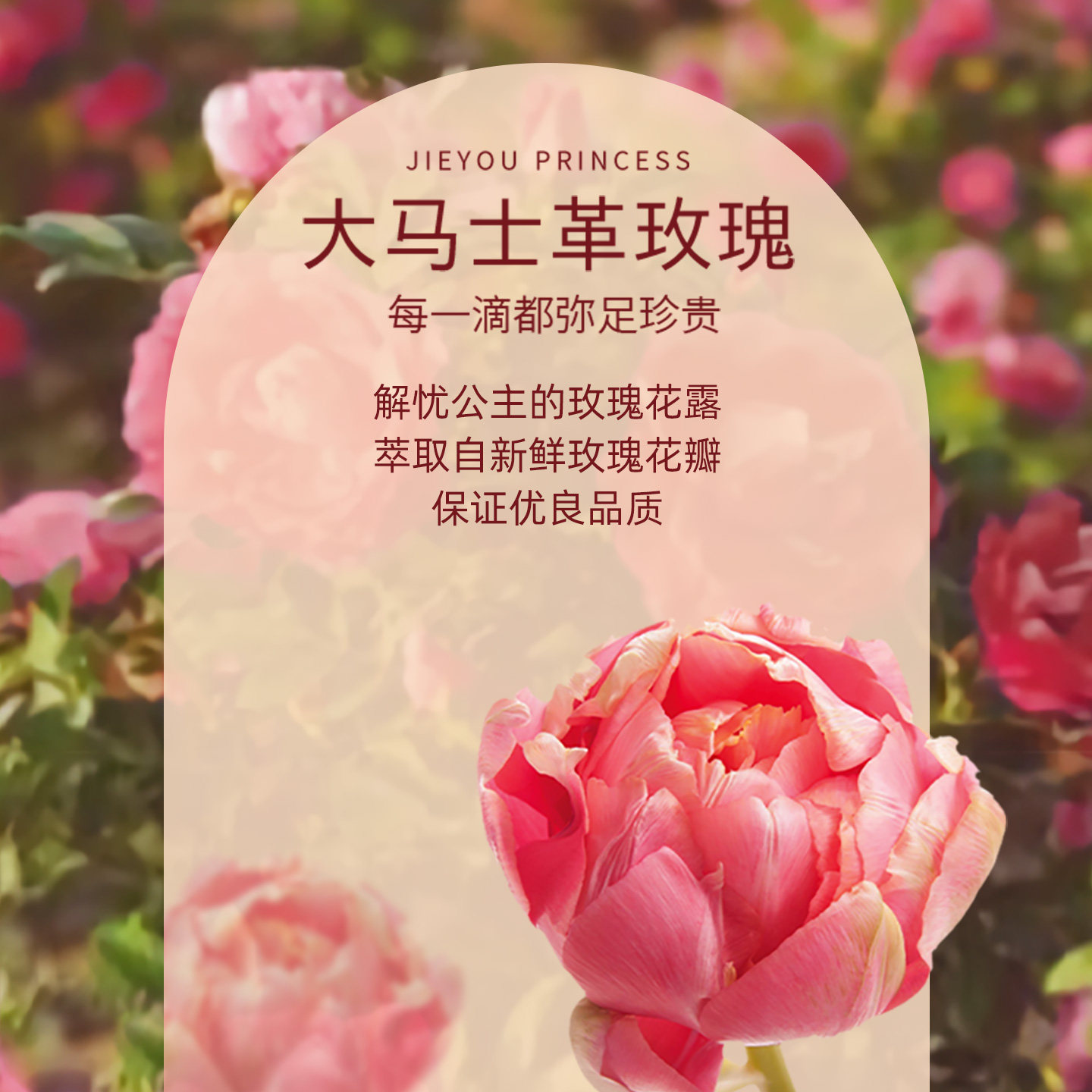 新疆解忧公主玫瑰花浆纯露大马士革喷雾湿敷水精油花水官方旗舰店,淘宝优惠券,粉丝福利购,淘宝优惠卷