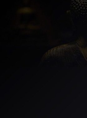 陶声 和合生米兔子白菜家居博古架玄关客厅中式摆件石湾陶瓷公仔