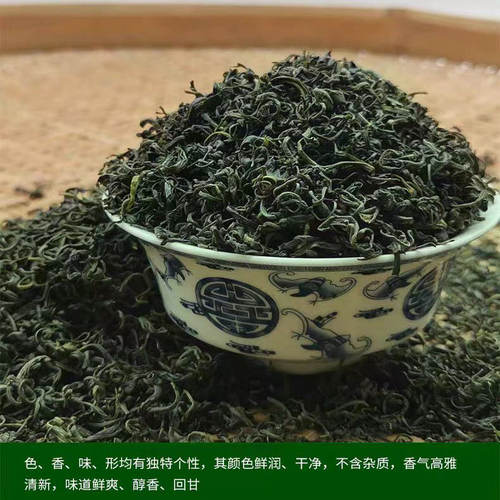 广东特产英德绿茶叶2026新茶高山云雾浓香耐泡炒青豆香型袋装500g - 图0