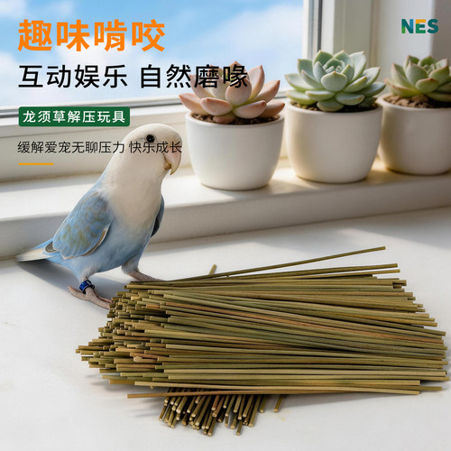 鹦鹉天然啃咬玩具 小鸟解闷龙须草 防抑郁虎皮牡丹小太阳磨牙用品 - 图0