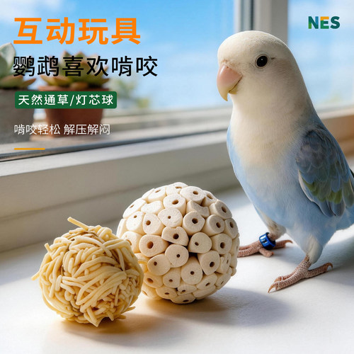 鹦鹉天然啃咬玩具 小鸟解闷龙须草 防抑郁虎皮牡丹小太阳磨牙用品 - 图2