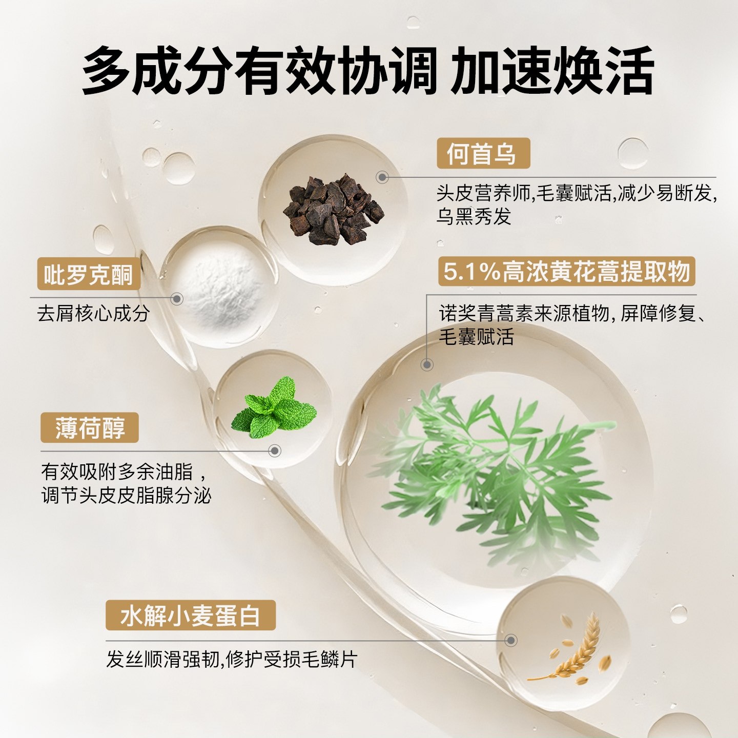 友理黄花蒿头皮素 敏感修护控油去屑清洁头皮洗发水急救装一盒6袋