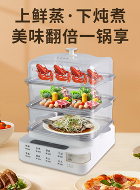 【源头工厂直营】电蒸锅多功能