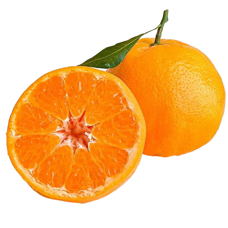 【晁然直播】四川春见耙耙柑粑粑柑新鲜水果橘子当季整箱桔子包邮,淘宝优惠券,粉丝福利购,淘宝优惠卷