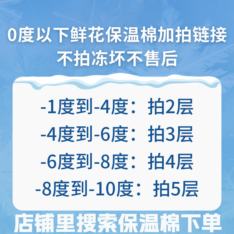 黄天霸香水百合花鲜花云南基地直发家用插花水养鲜切花2单发顺丰,淘宝优惠券,粉丝福利购,淘宝优惠卷