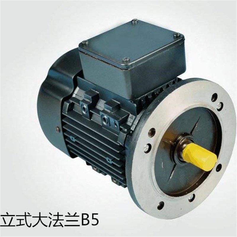 YSJ8024 750W  YSJ8016 370W 三相异步电动机 厂家直销 - 图1