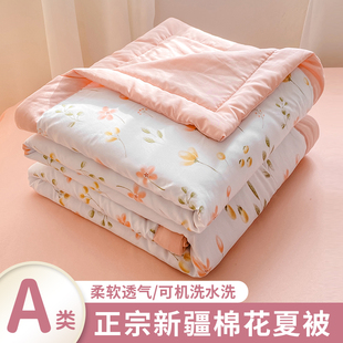 北极绒眠眠被空调被夏凉被可机洗被芯新疆棉