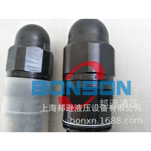 REXROTH,力士乐，DBDS30K1X/100，DBDS30P1X/315，R900424288 - 图0