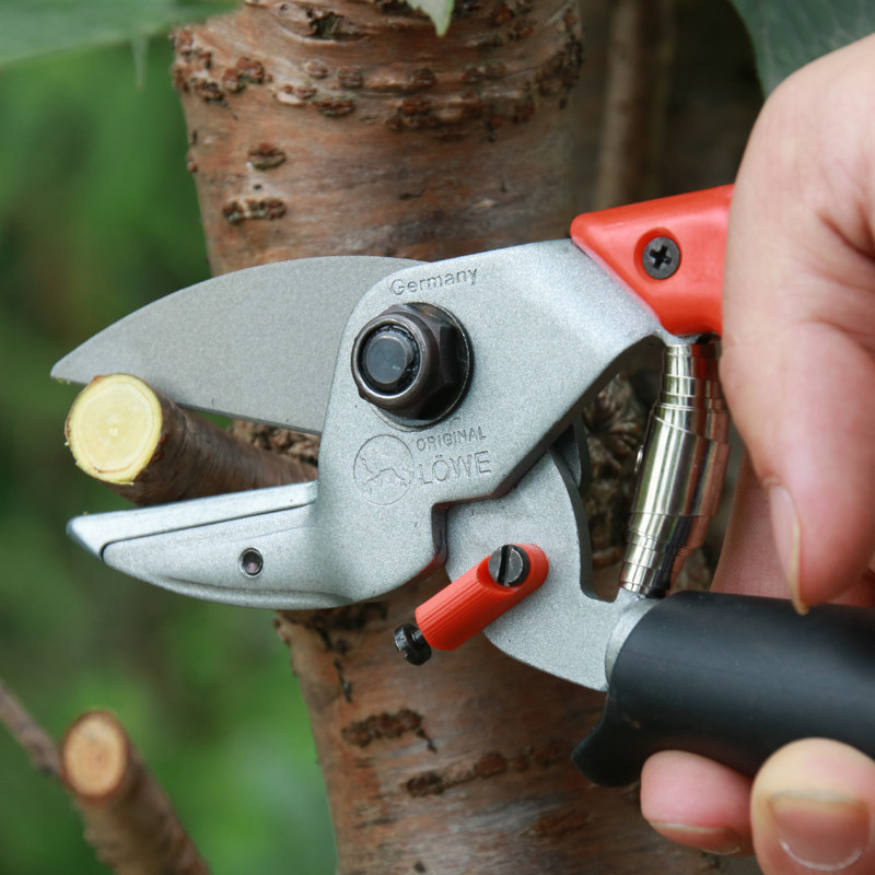 德国狮牌进口修枝剪 剪刀6109果树剪子园艺手剪刀园林工具粗枝剪,淘宝优惠券,粉丝福利购,淘宝优惠卷