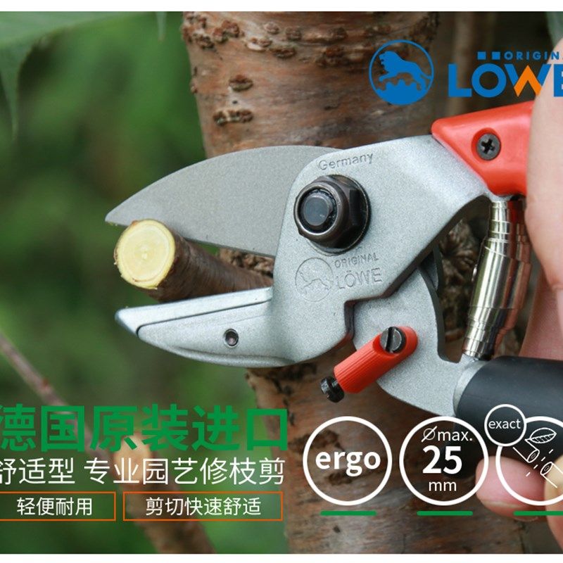德国狮牌进口修枝剪 剪刀6109果树剪子园艺手剪刀园林工具粗枝剪,淘宝优惠券,粉丝福利购,淘宝优惠卷
